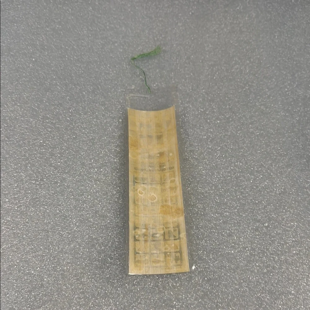 Blue and Green Egyptian Style Ruler with Decorative Design